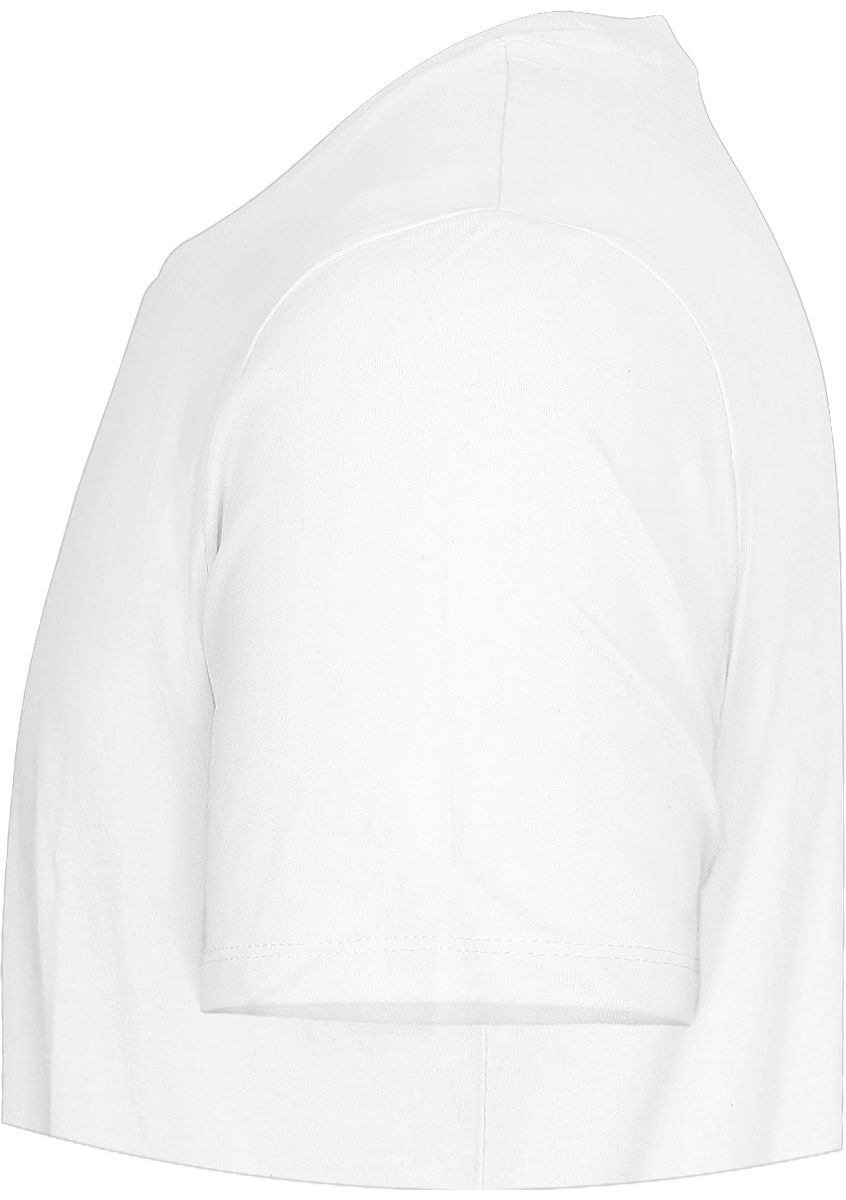 T-shirt basique Unisexe Stanley Rocker