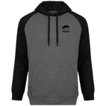 Charger l&#39;image dans la galerie, Sweat-shirt Sport à capuche bicolore
