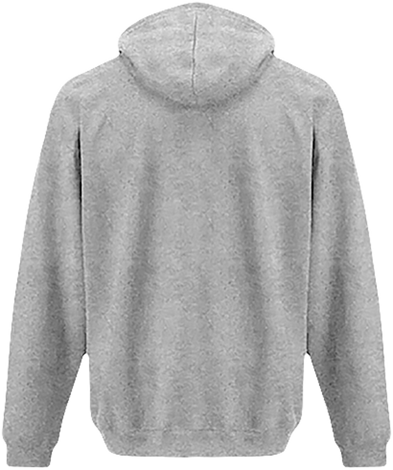 Sweat à Capuche Bicolore