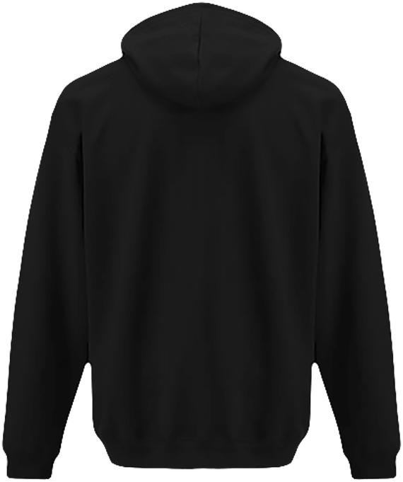 Sweat à Capuche Bicolore