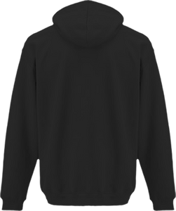 Sweat Shirt Zippé Capuche