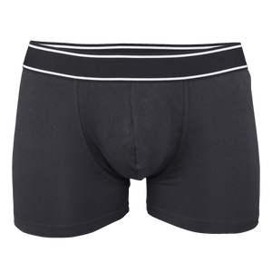 Boxer