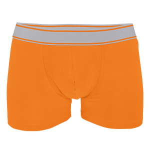 Boxer