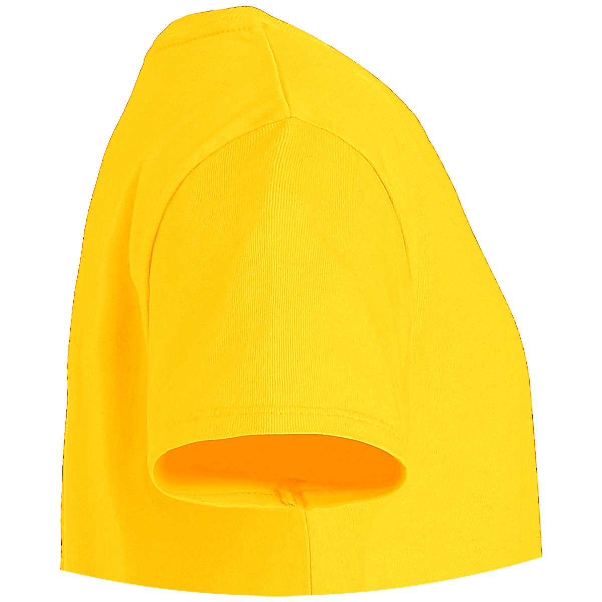 Tee Shirt Bio Stanley MINI CREATOR